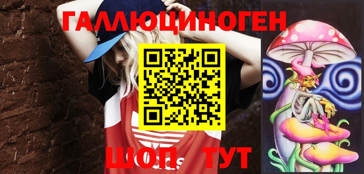 Гусев  Галлюциногенные грибы MAGIC MUSHROOMS  Вход с VPN  Псилоцибиновые грибы прущие грибы 
